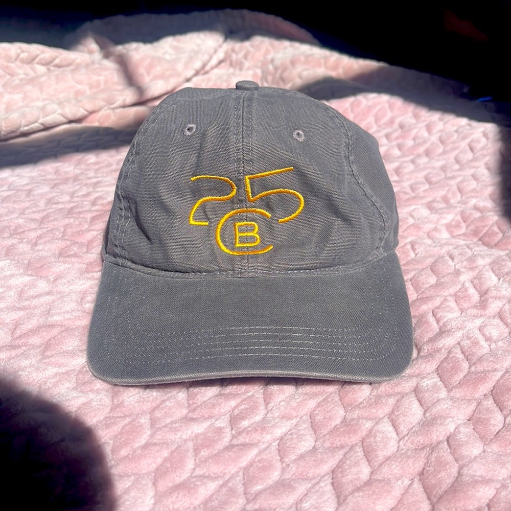 Carhartt 25CB gray velcro adjustable hat. Great condition!